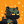 Blesstiger #2498