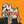 Blesstiger #1127