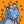 Blesstiger #314