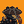 Blesstiger #2261