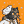 Blesstiger #1372