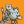 Blesstiger #1423