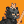 Blesstiger #444