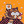 Blesstiger #479