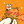 Blesstiger #1007