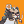Blesstiger #3229
