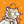 Blesstiger #1695