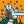 Blesstiger #2597