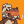 Blesstiger #3315