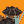 Blesstiger #3166
