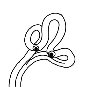 Knot 804