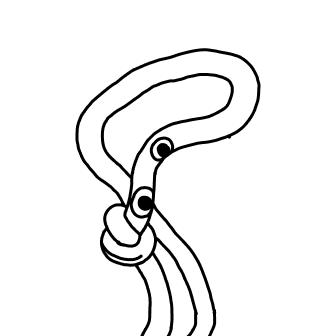 Knot 829
