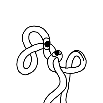 Knot 504
