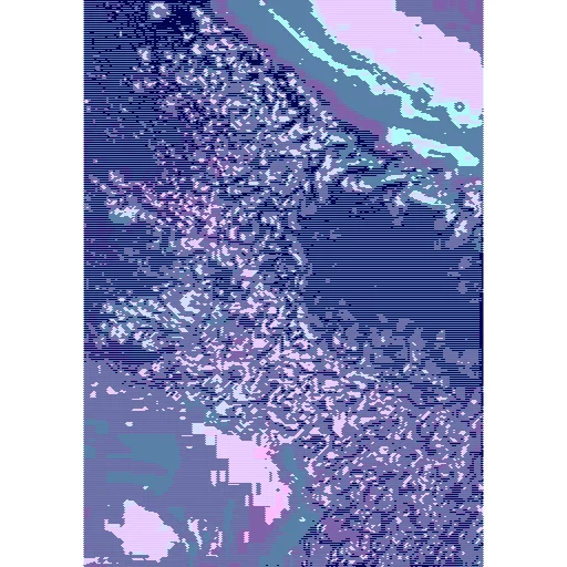 #77043494
