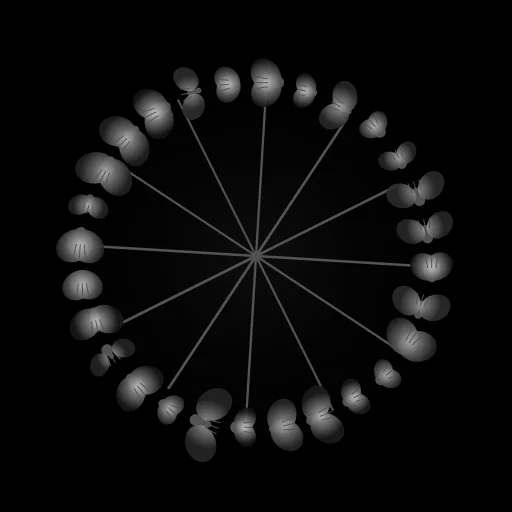 Fly-Wheel