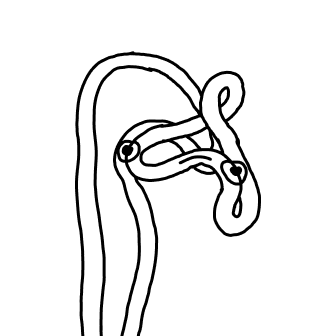 Knot 779