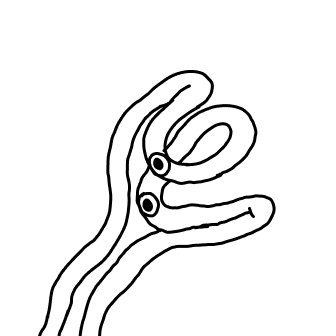 Knot 627