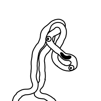 Knot 14