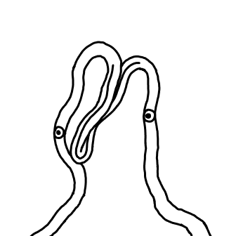 Knot 251