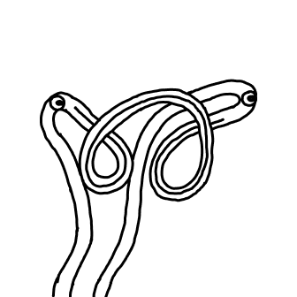 Knot 29
