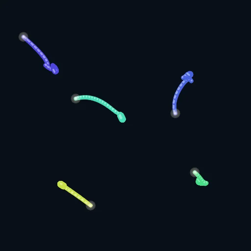 OceanBois