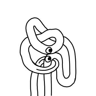 Knot 58