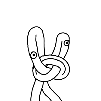 Knot 17