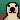 Staring Dog