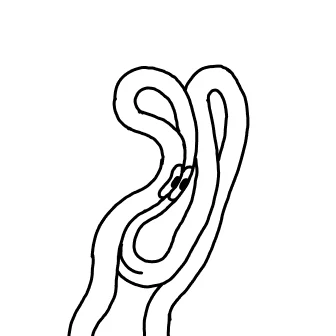 Knot 421