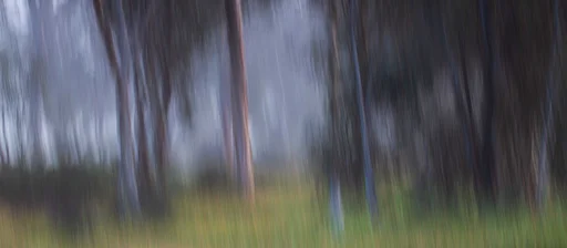#85046158