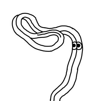 Knot 951