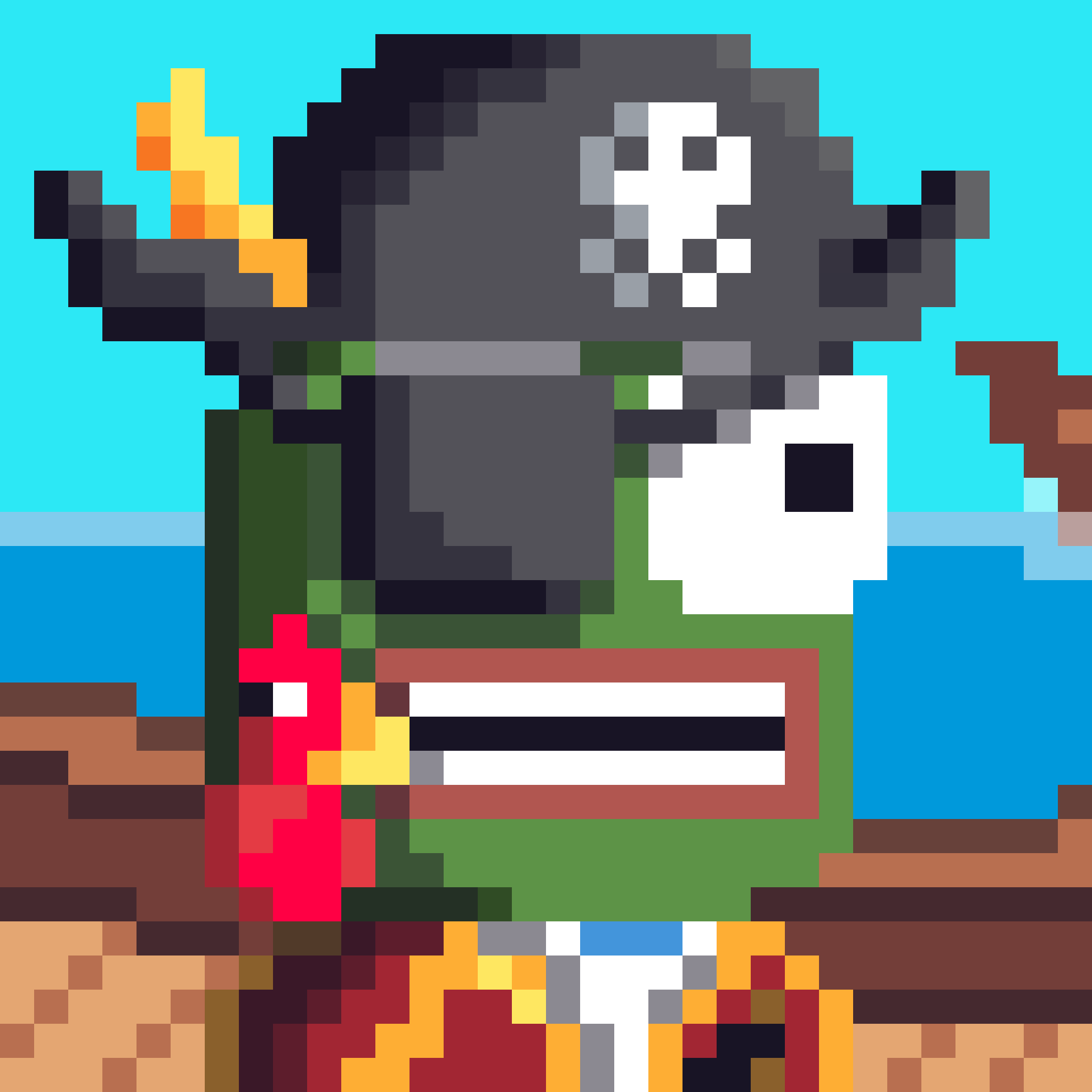 Pirate