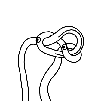 Knot 81