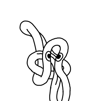 Knot 865