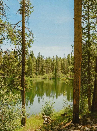 #60274690