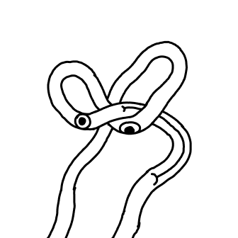 Knot 638