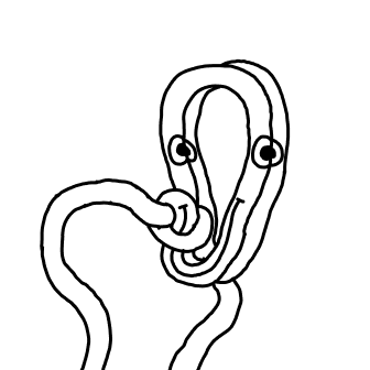 Knot 568