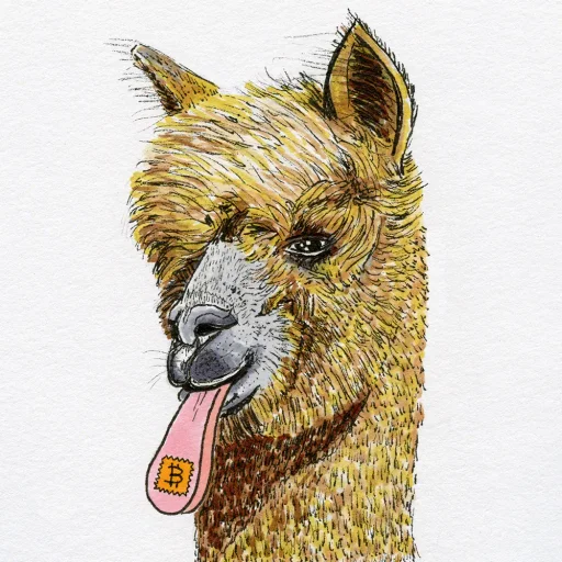Miss Alpaca 2026