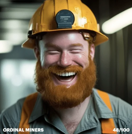 Ordinal Miner 48