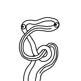 Knot 119