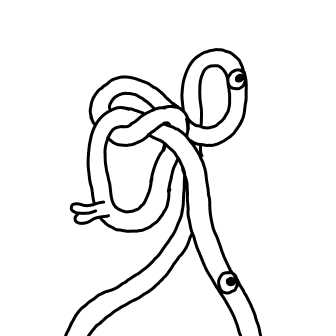 Knot 43