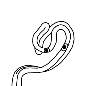Knot 736