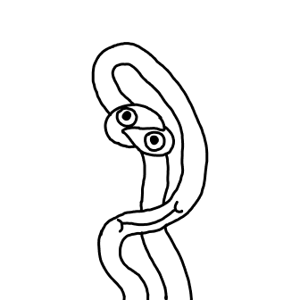 Knot 574