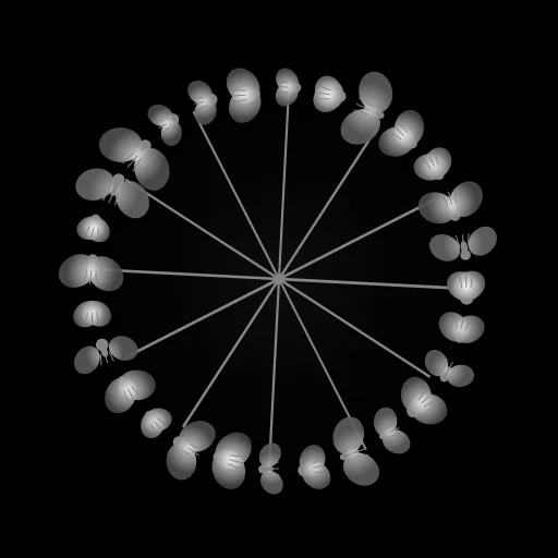 Fly-Wheel