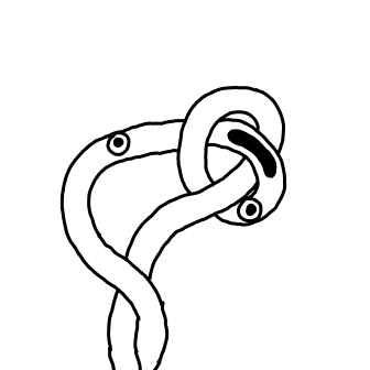 Knot 261