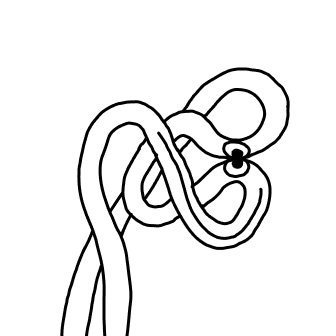 Knot 610