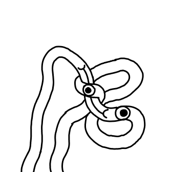 Knot 874