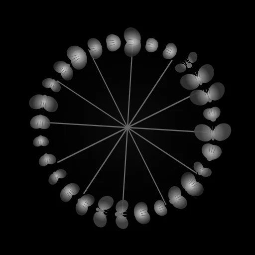 Fly-Wheel