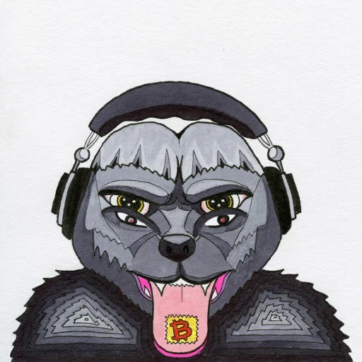 Badger Vision