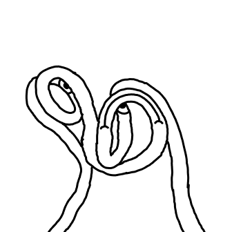 Knot 746